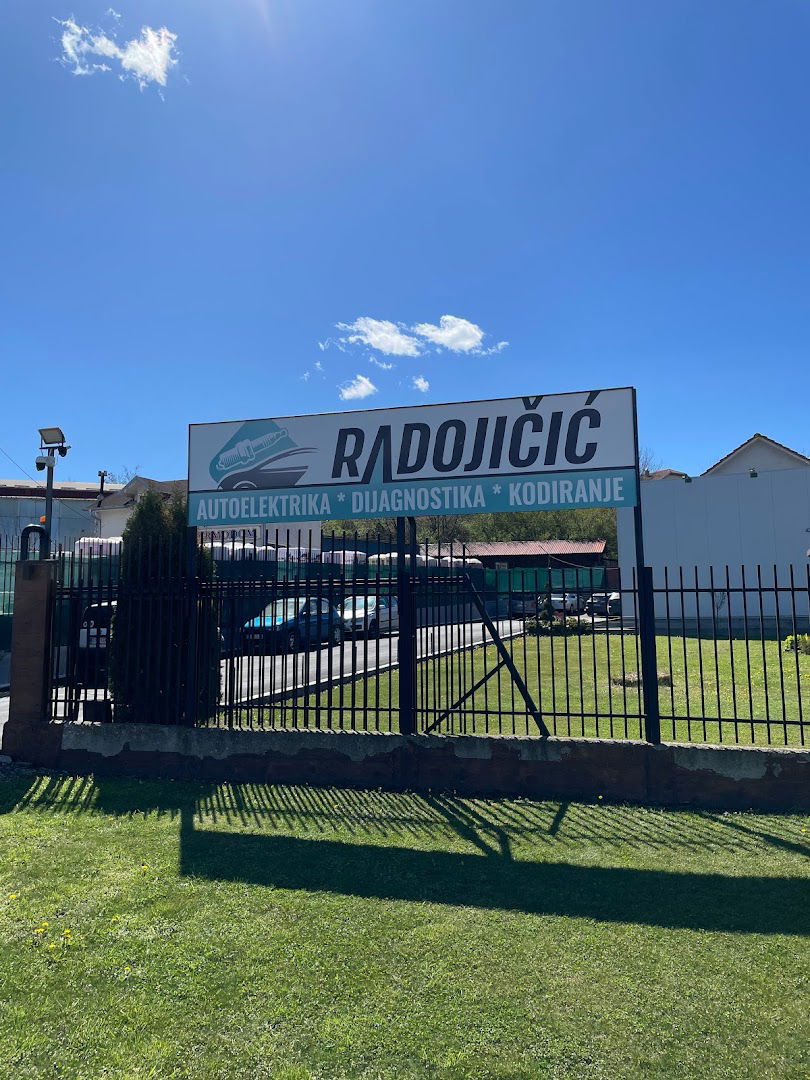 Autoelektrika dijagnostika Bojan