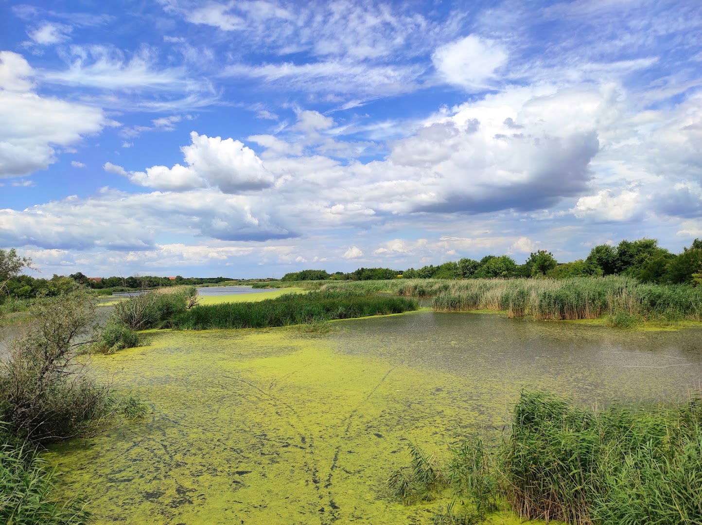 Park prirode „Ponjavica"