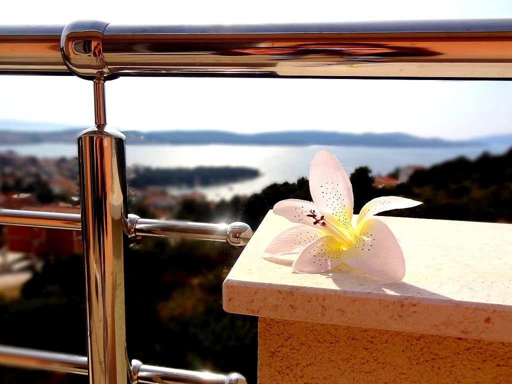 Apartments Žunabović