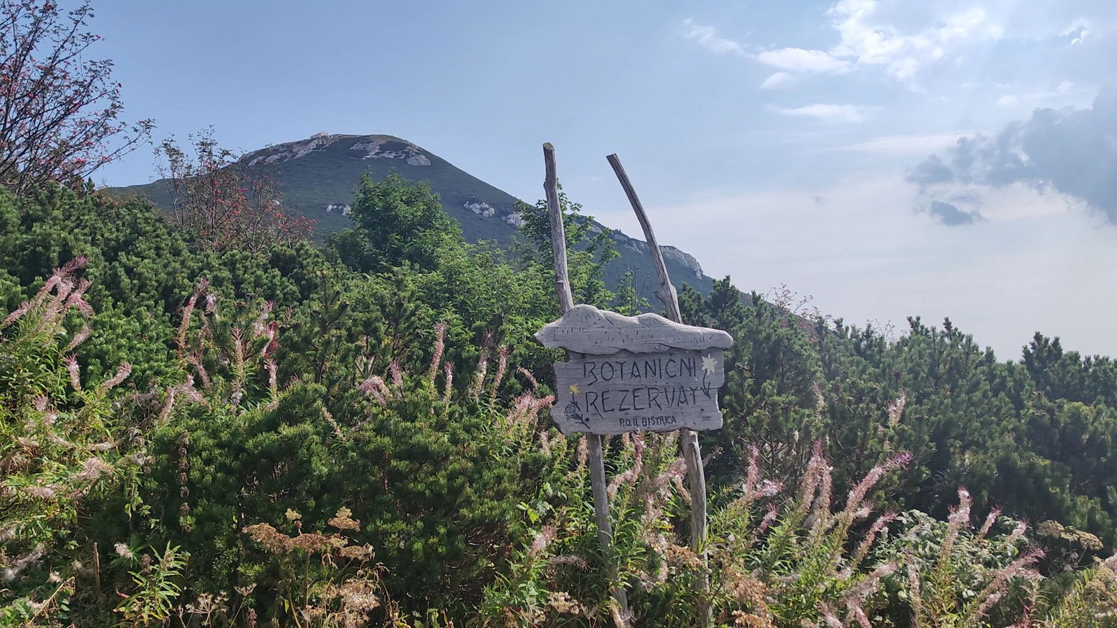 Obračališče 1563 m