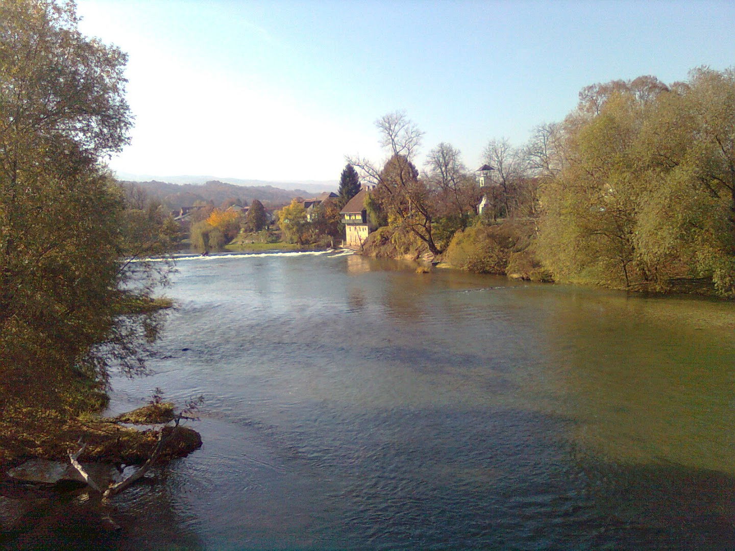 Cvetličarna Tina - Račič-Leš Martina, s.p.