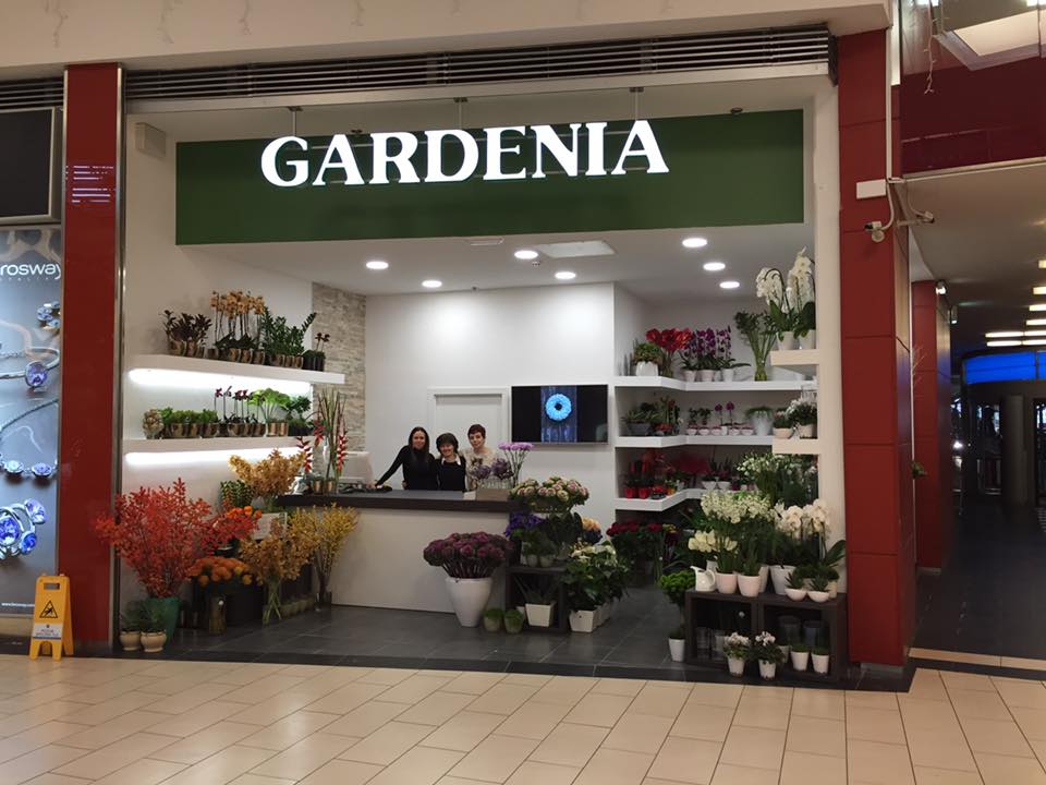 Gardenia