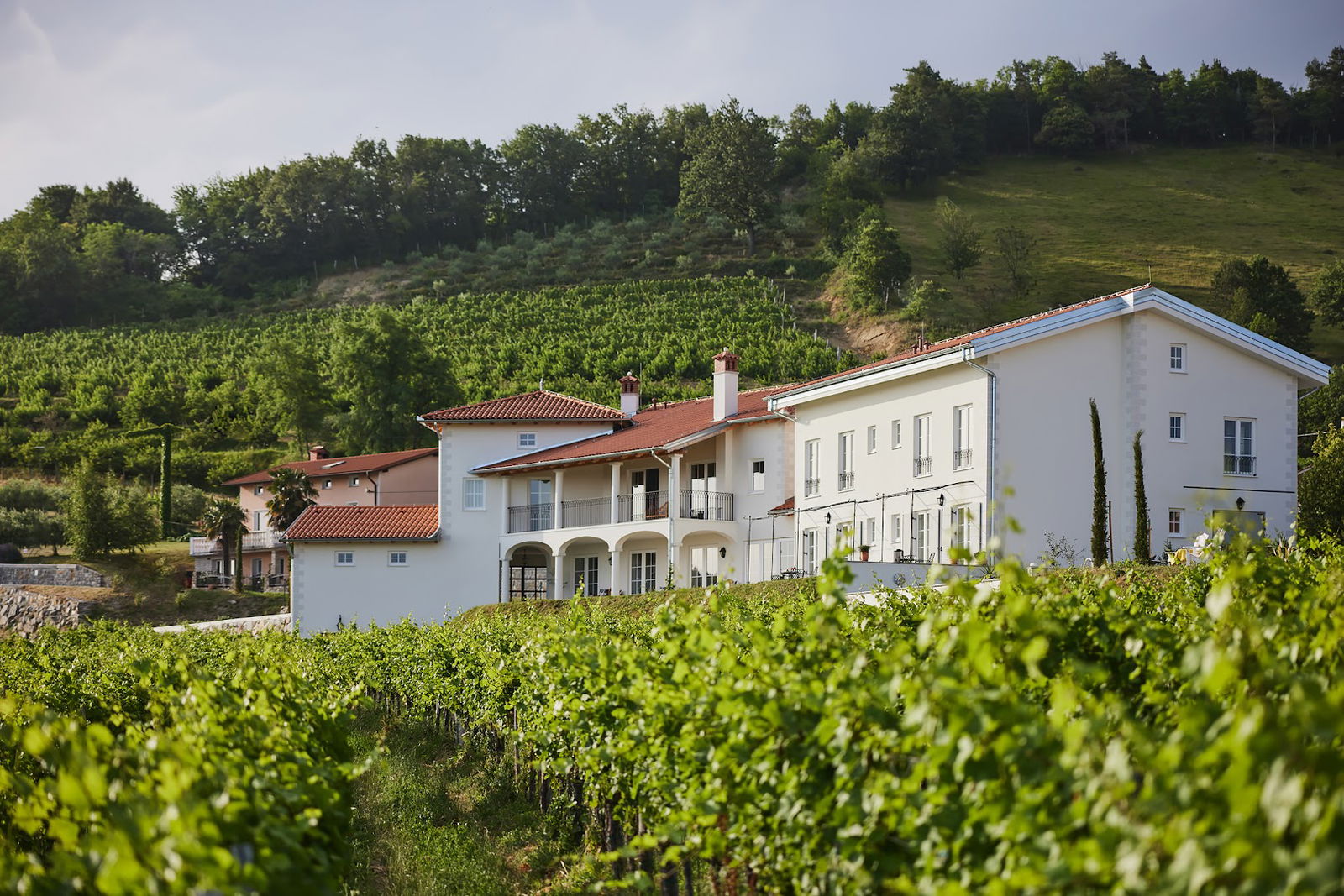 Peterc Vineyard Estate