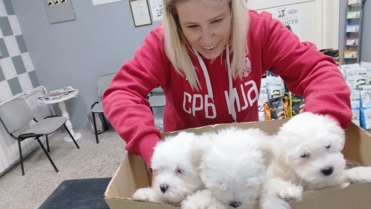 Veterinarska ambulanta VetHome