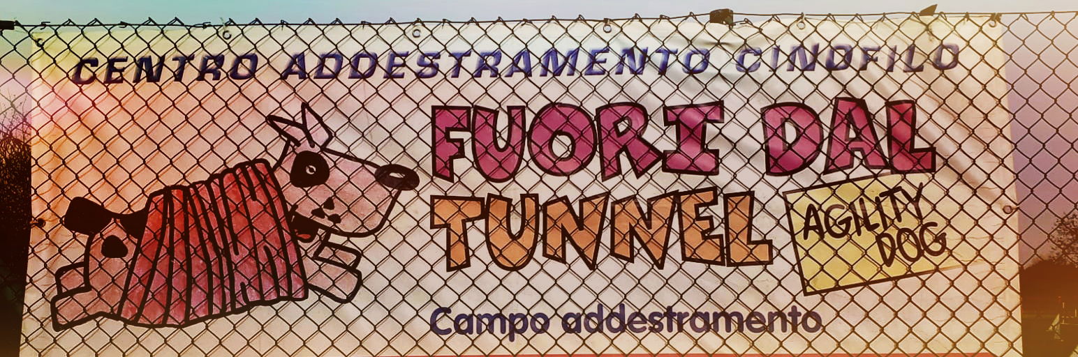 A.S.D. Fuori dal Tunnel Agility Dog