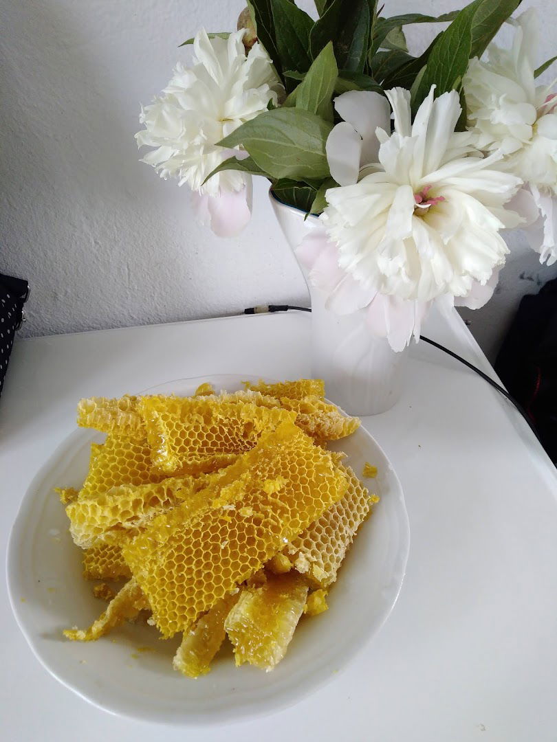 Gazdinstvo Ivković, bagremov med, proizvodnja i prodaja