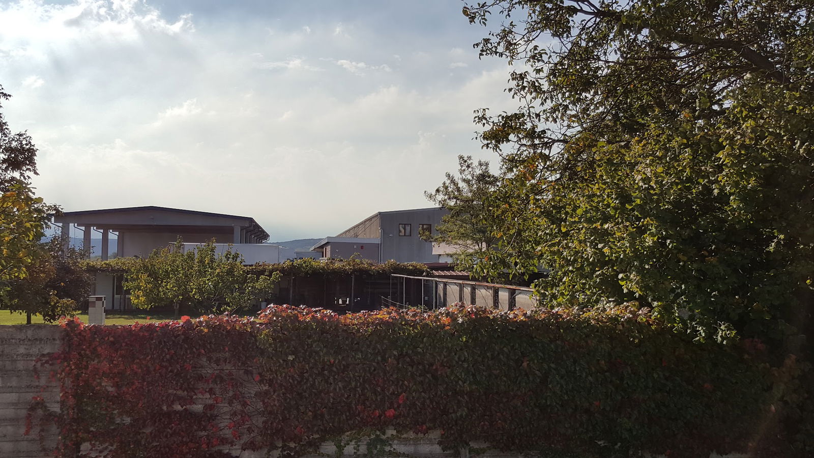 Food Innovation S.r.l.