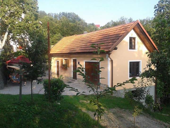 Apartman ZIBAR