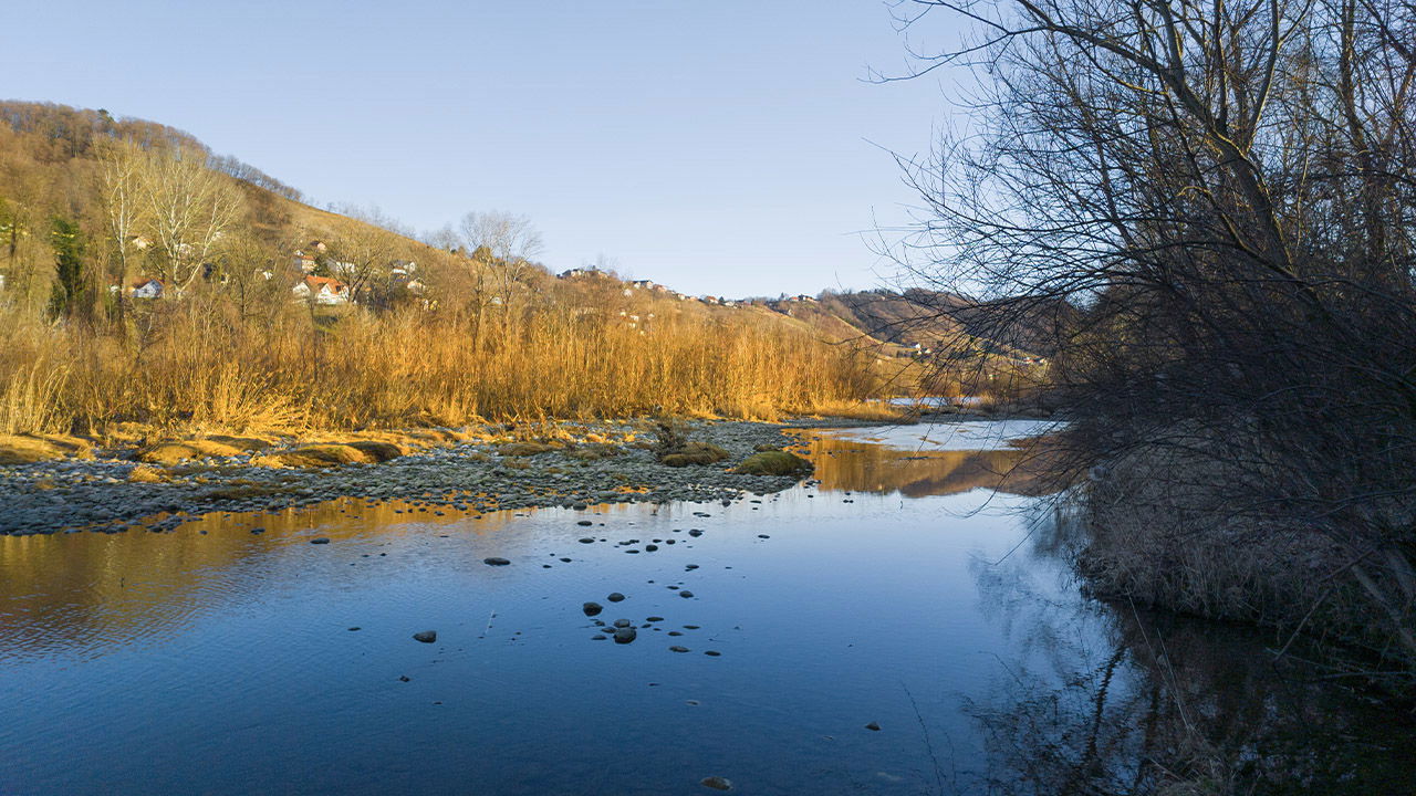 Drava - stara struga, hidrološki naravni spomenik, Zrkovci - Dogoše