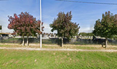 Velika Trnovitica cemetery