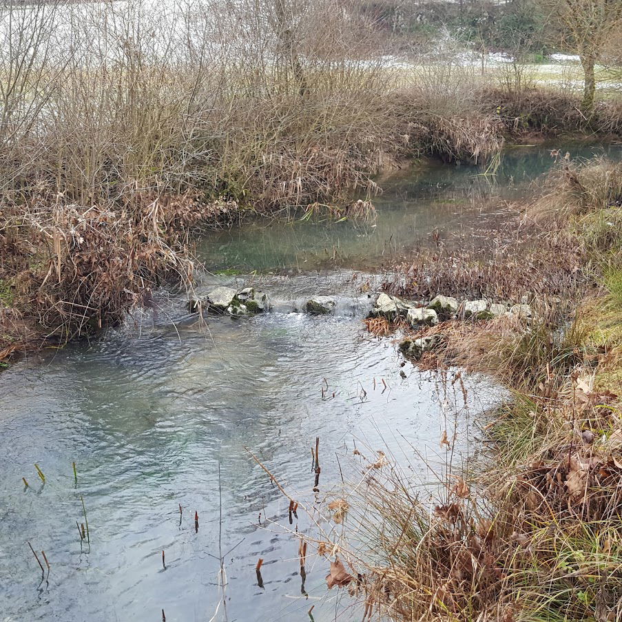 Podturnščica Izvir