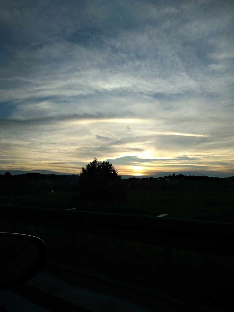 OBRT ZA PROIZVODNJU PILJENE GRAĐE I IMPREGNACIJU DRVA -PILANA IVOLI-, PAZIN, VL. MARINO FOŠKO