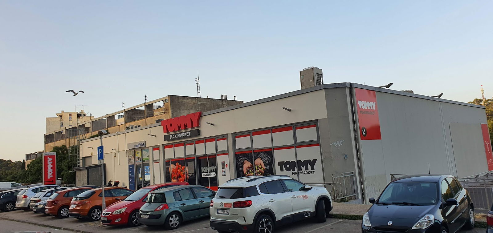 Tommy Maximarket