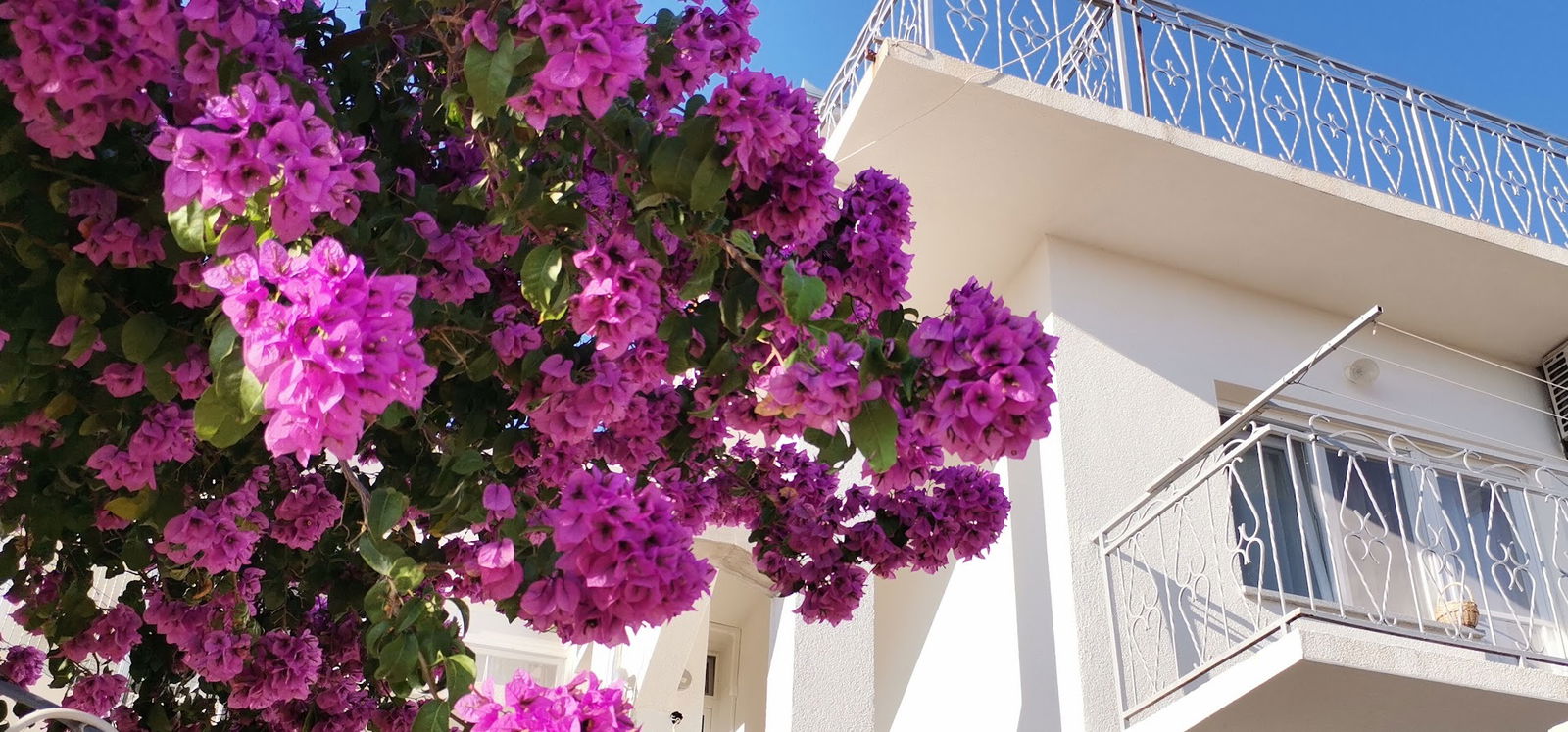 Apartman Mare - Brodarica, Šibenik