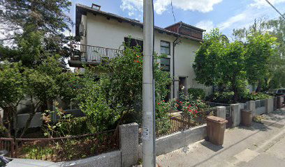 Train Hungary Podružnica Zagreb