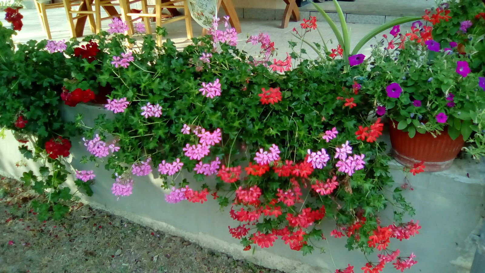 Komunalac Glina d.o.o.