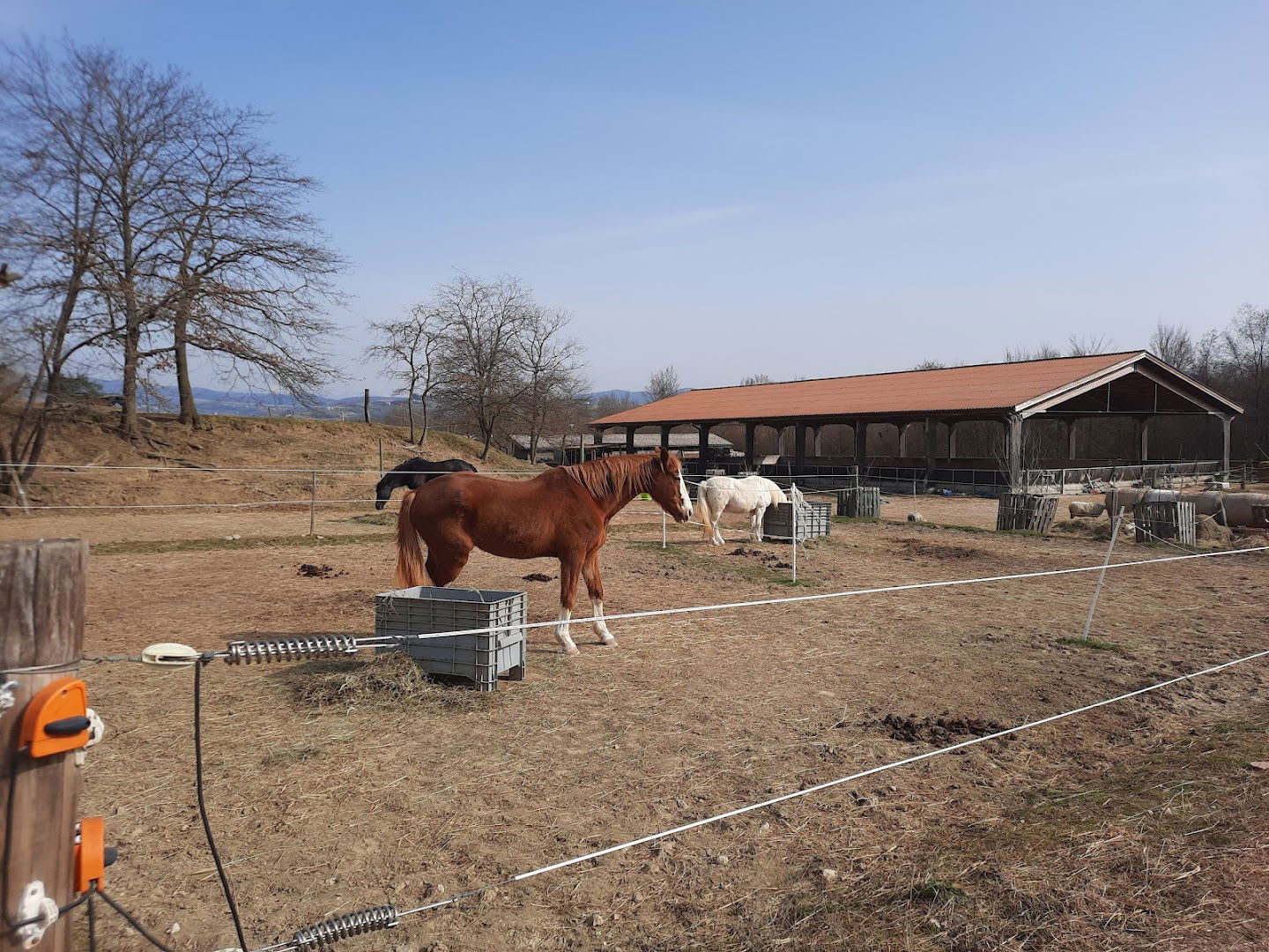 Circolo Ippico Preval