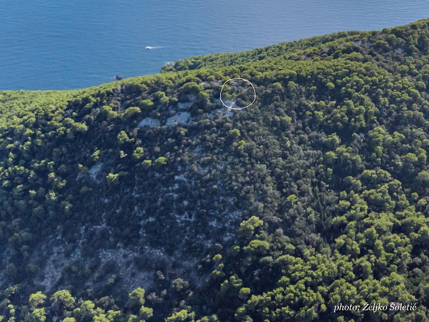 Crkva sv. Fermo (ostaci)