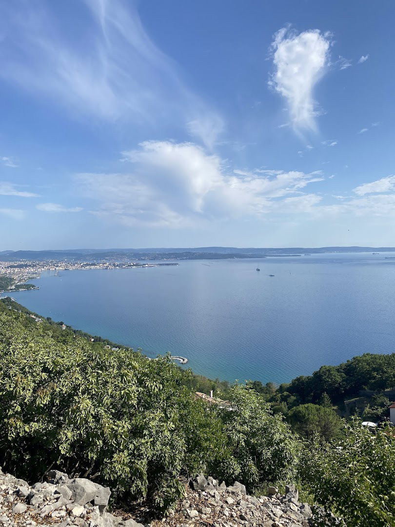 Azienda agricola Verginella