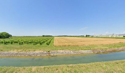 Quadruplice frontiera tra Gradisca d'Isonzo, Farra d'Isonzo, Mariano del Friuli e Moraro