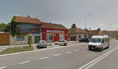 Izvrsitelj Dragan Maricic