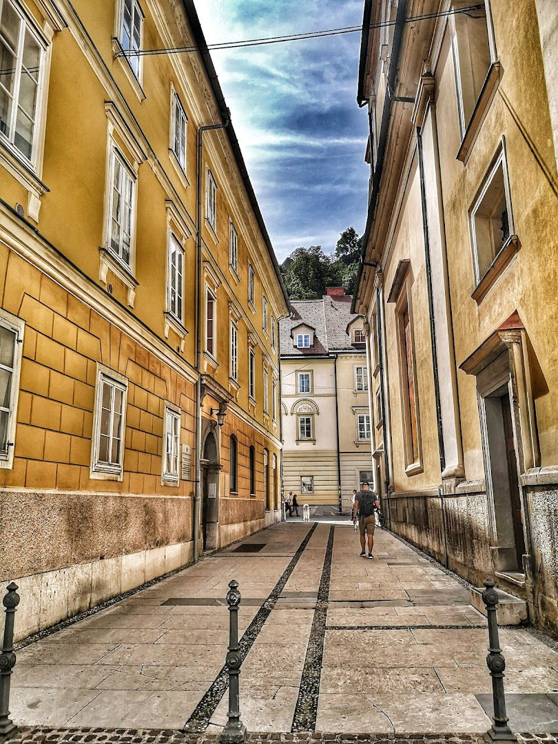 Posredništvo pri prodaji suhega sadja in Oreškov, Antoneta Camaj s.p.