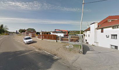 Dušana Petrovića Šaneta