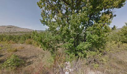 BRŠTANOVO ČERENIĆI 1