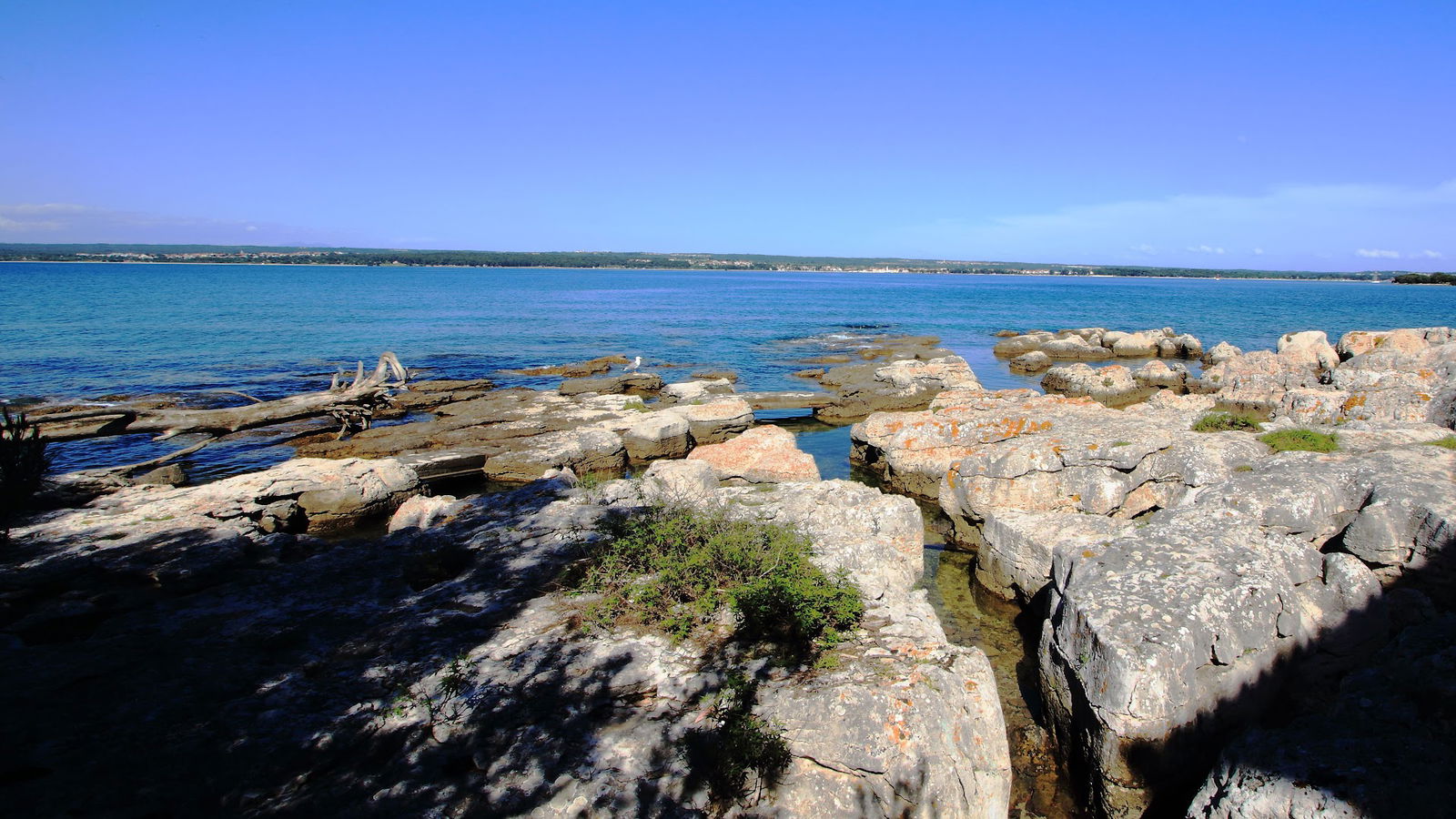 Point de vue Fazanka