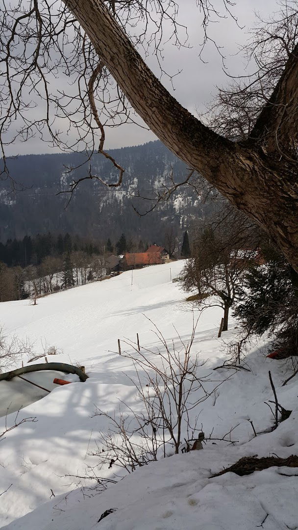 Jurše Tomaž - Nosilec dopolnilne dejavnosti na kmetiji