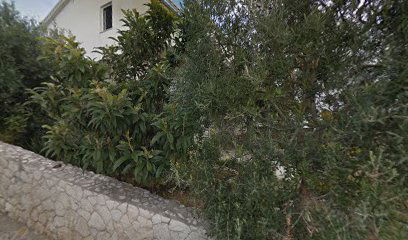 Chorwacja apartament Ciovo