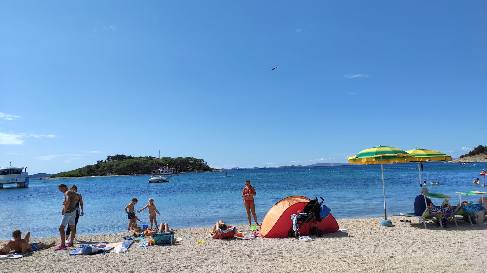 Car Servicing Horvat