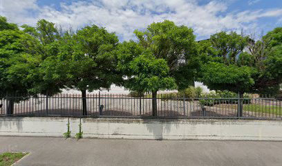 Mark Medical S.p.A. a socio unico