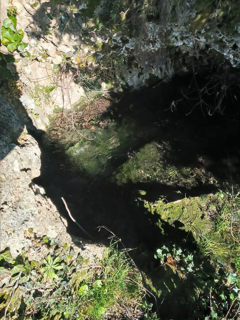 Izvor rijeke Studene