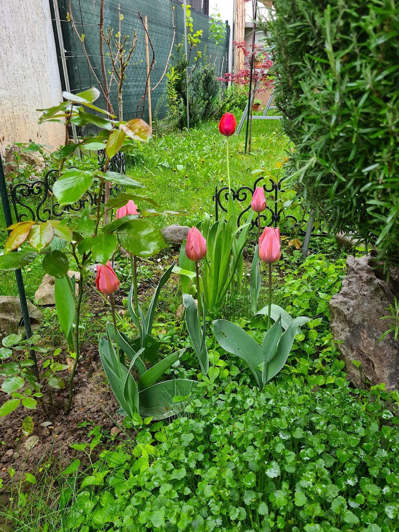 Studio apartman Blue