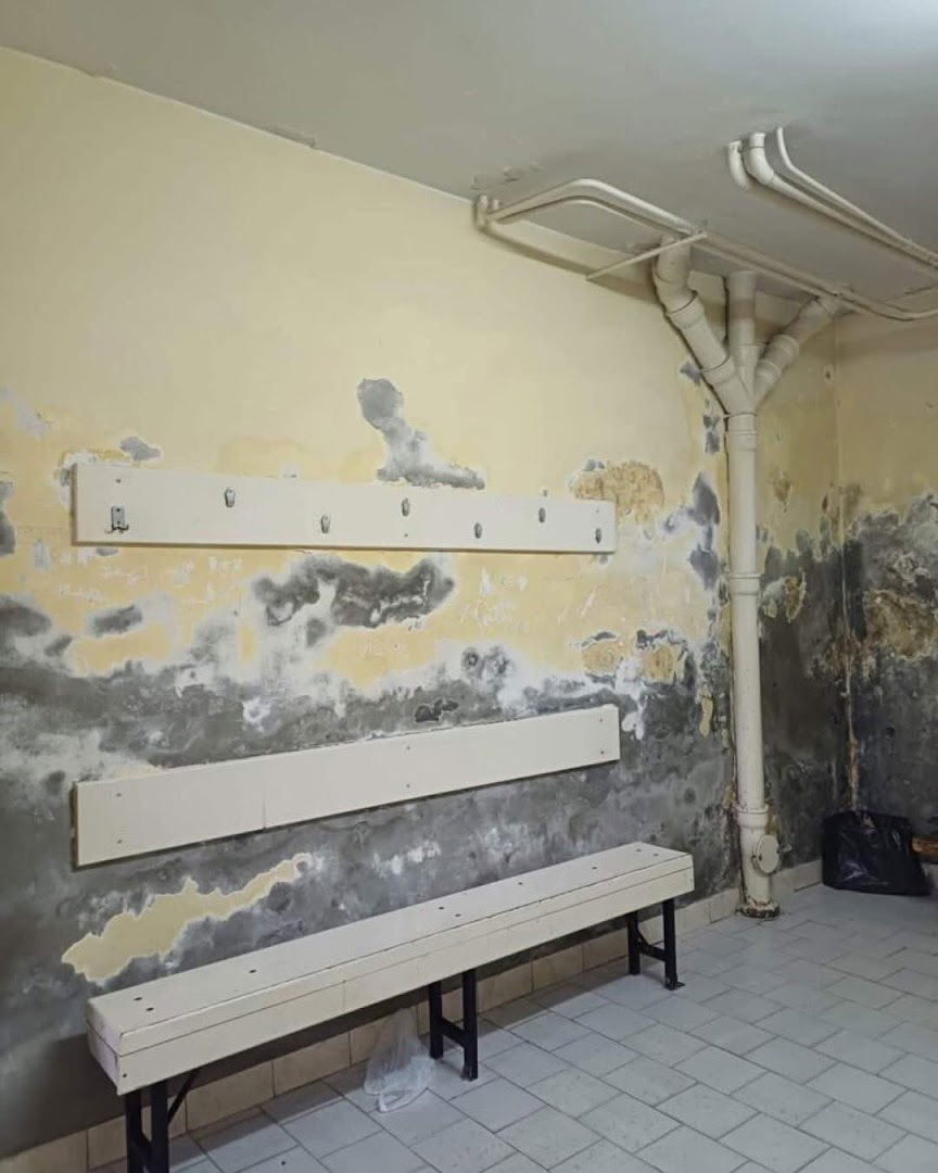 Primary School Svetozar Miletić