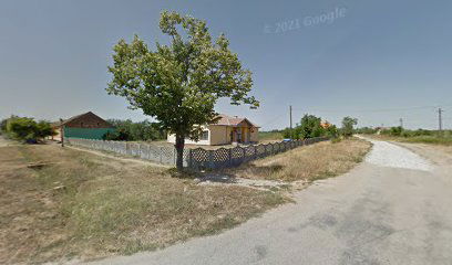 Scoala primară+Grădinița Dolaț