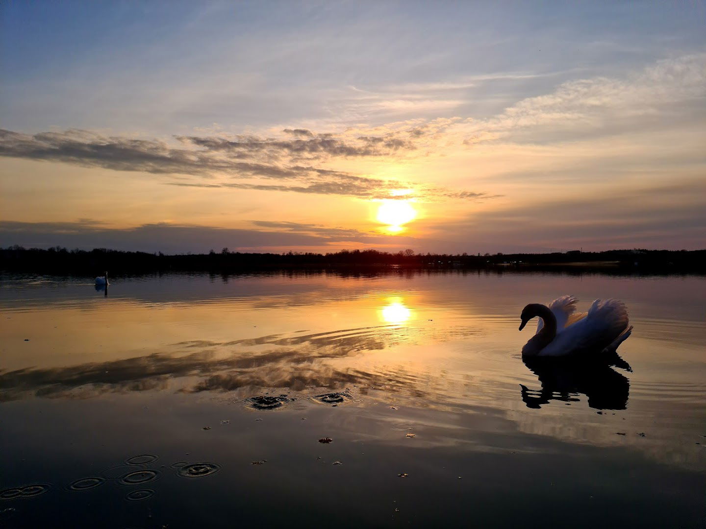 Језеро Паљуви