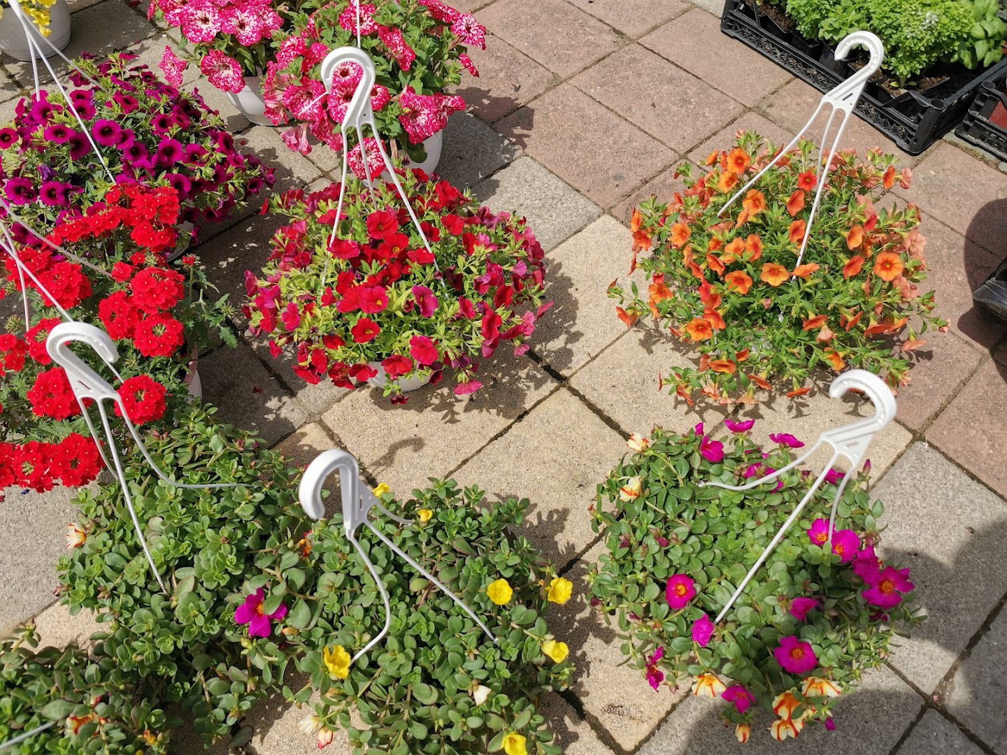 Otvorena Scena SPENS-a