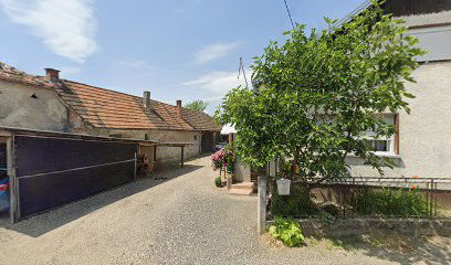 FRIZERSKI SALON ALENKA-ALENKA SILAĐI