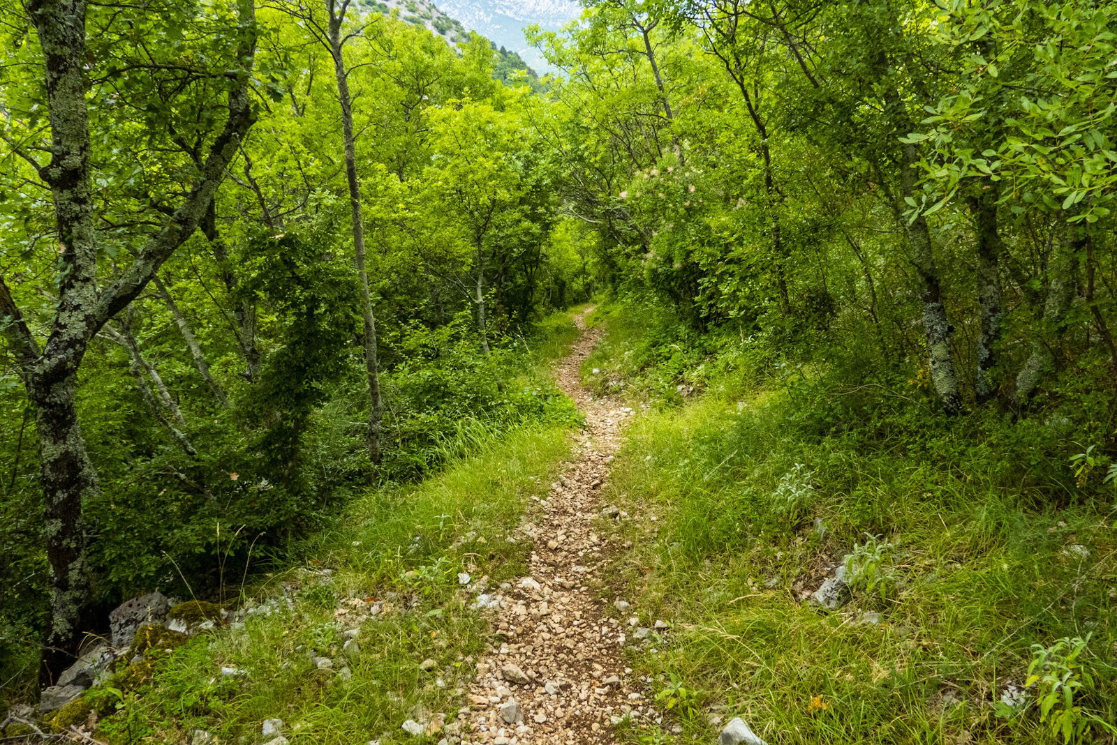 Šetnica uz Dubračinu