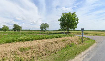 Surd, somogybükkösdi elágazás [3]