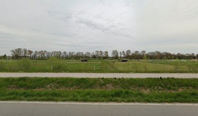 Ovale di fama mondiale