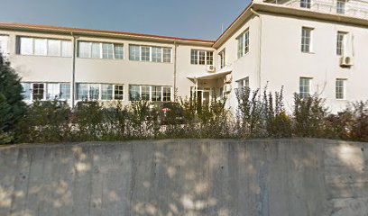 Ivko Woman Headquarters