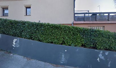 Tiplon - tiskane ploče