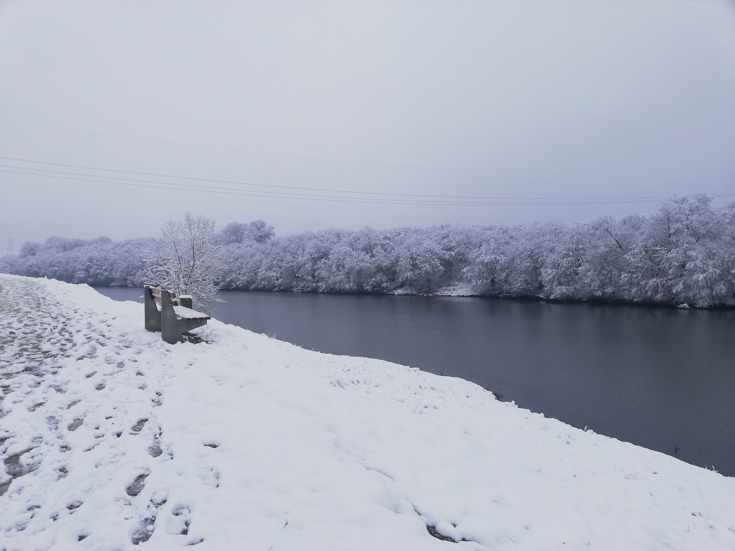 Институт за водопривреду "Јарослав Черни"