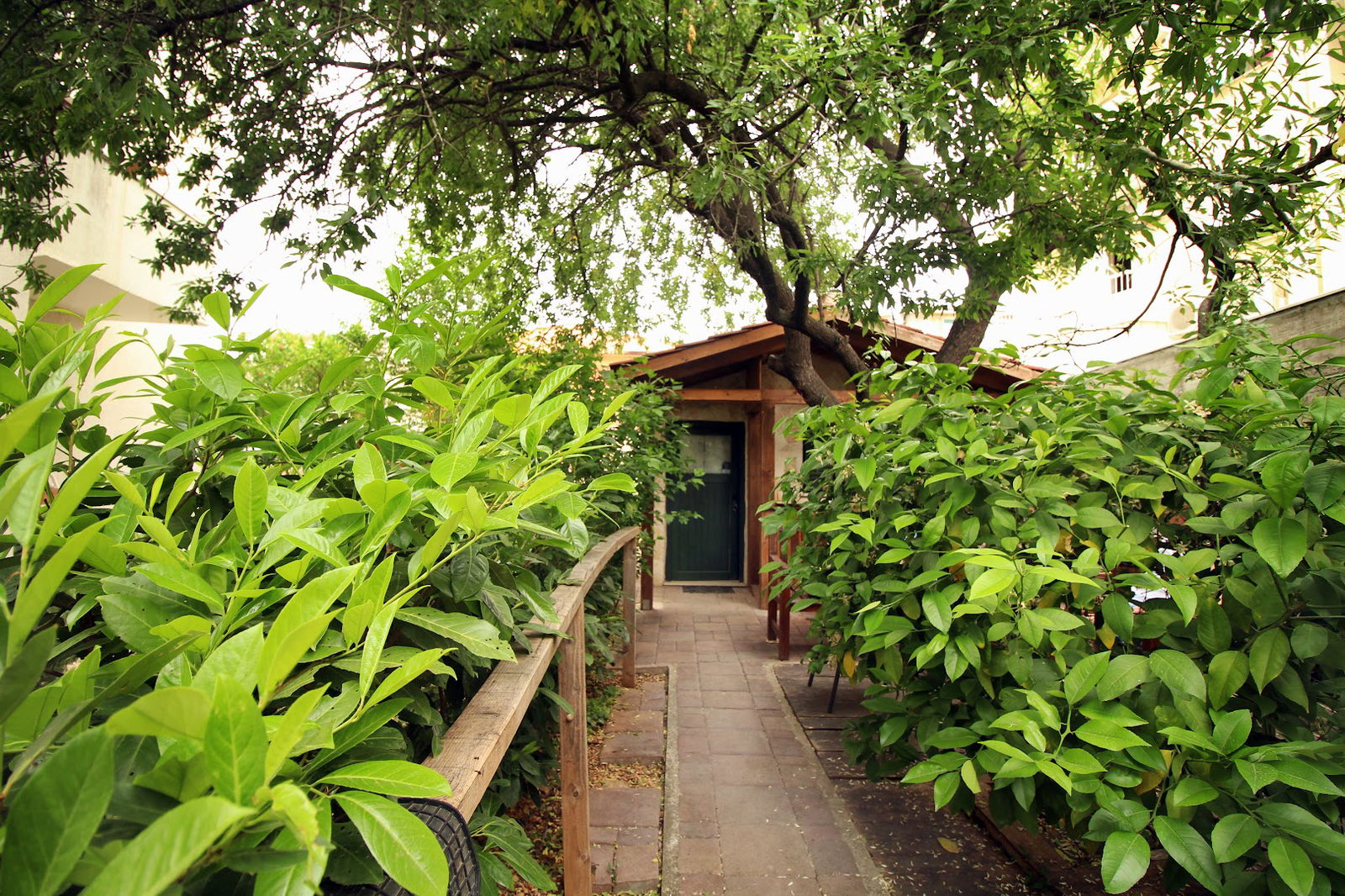 Chi masažni centar I Dr. masaže Ivo Ćurin