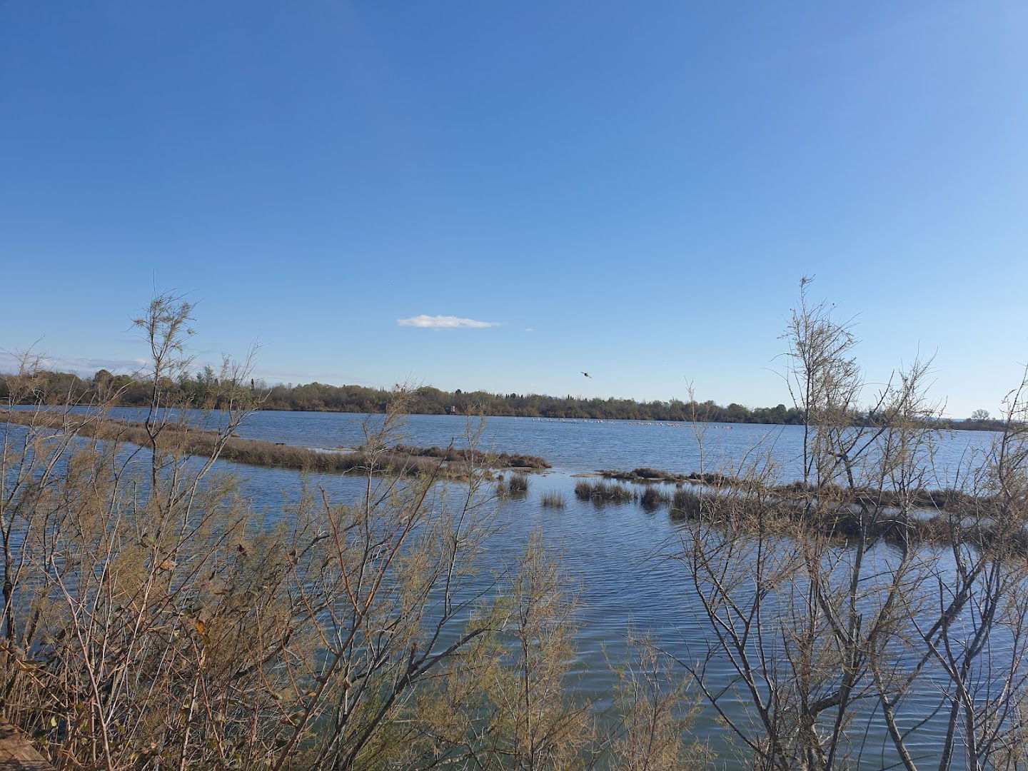 Osservatorio avifaunistico Sabbia