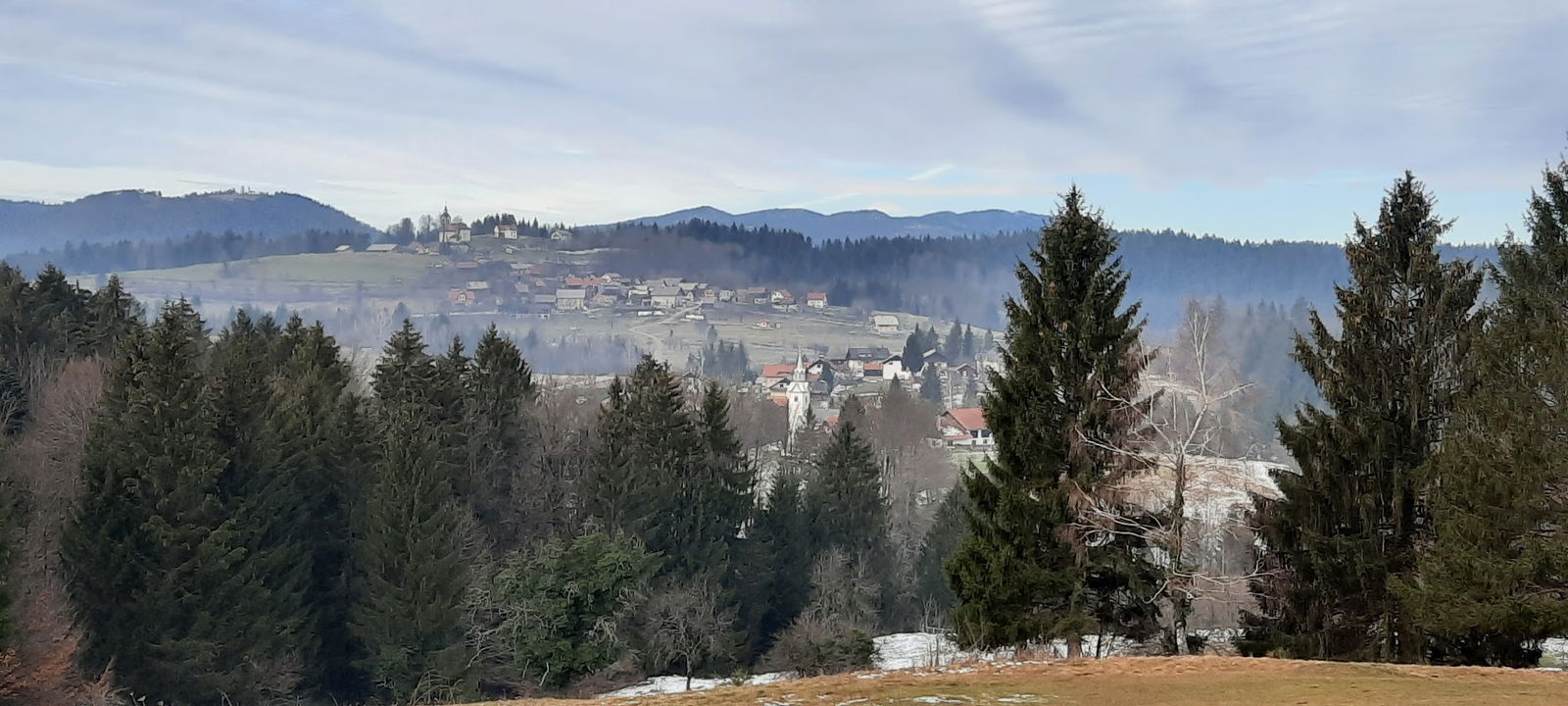 Prevajanje in pedagogika, Tadeja Nemček, s.p.