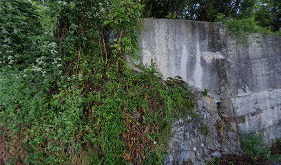 Švasko, delo na terenu, Gregor Napotnik s.p.